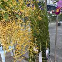 งานมีจฉาบานตำนานเขาสมิงครั้งที่4