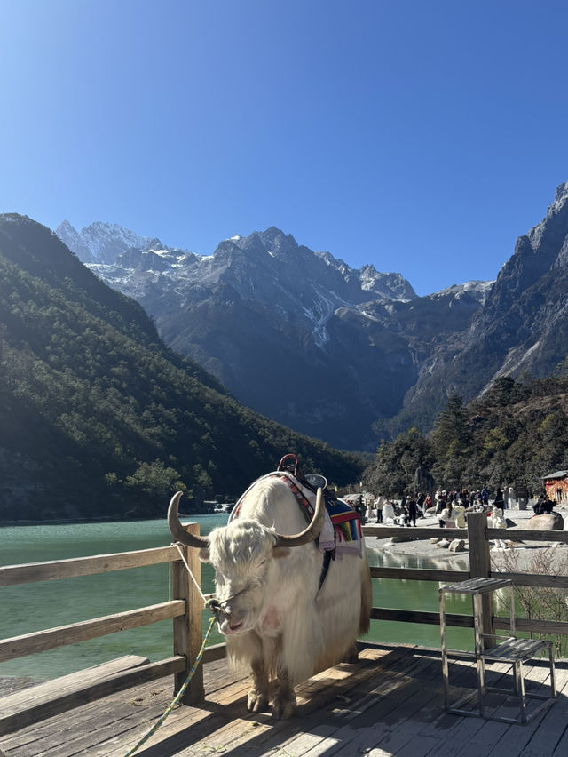Exploring the Stunning Blue Moon Lake – A Hidden Gem in Lijiang 🌙💧