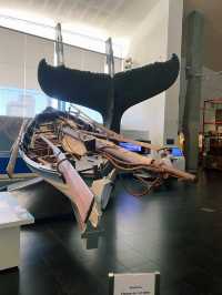WA Maritime Museum