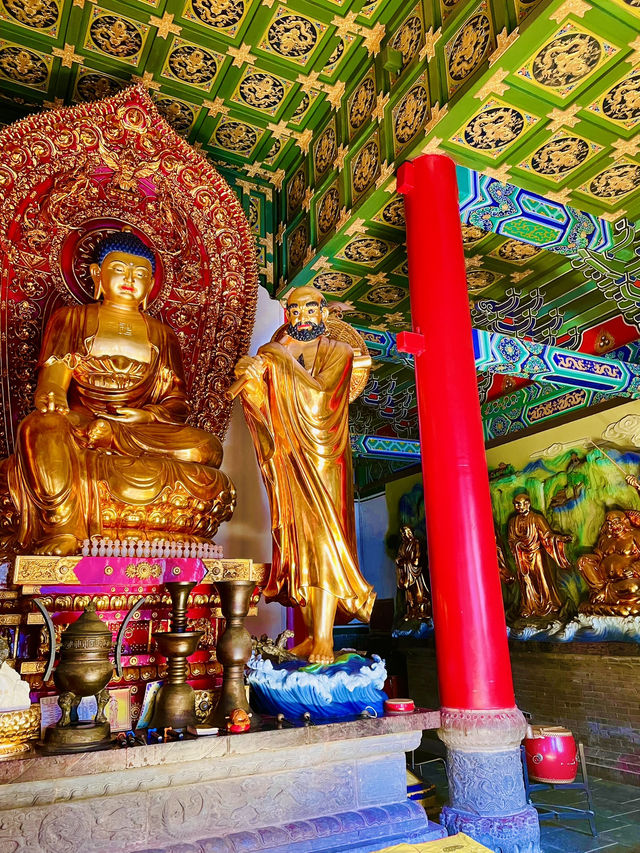🇨🇳 Day Trip to Shaolin Temple: Where Kung Fu Legends Are Born