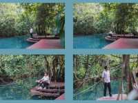 🐵 Blu Monkey Pooltara Krabi 🌴