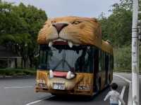 🇯🇵【愛媛県】子連れ旅行におすすめ！スタンプラリーが楽しい動物園🦁