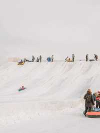 2 Days in Sapporo: A Winter Wonderland Adventure