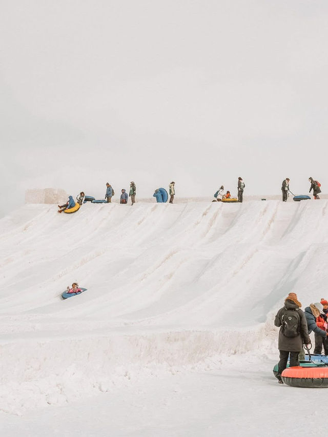 2 Days in Sapporo: A Winter Wonderland Adventure