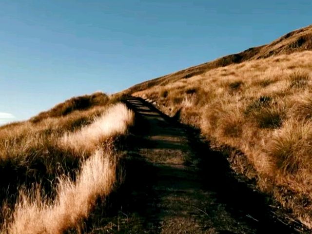 New Zealand Wanaka Trail - Roys Peak Track