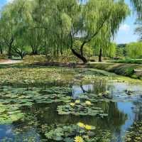 宮南池 抱龍亭 