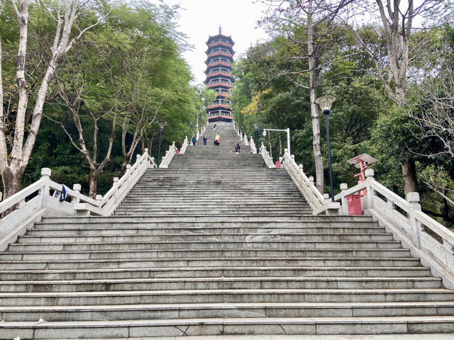 深圳景點推薦✨ 紅花山公園🏞️💕