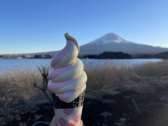 Mount Fuji Japan