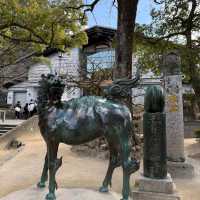 Dazaifu Tenmangu Shrine