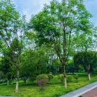 大自然的懷抱 | 樓村濕地公園