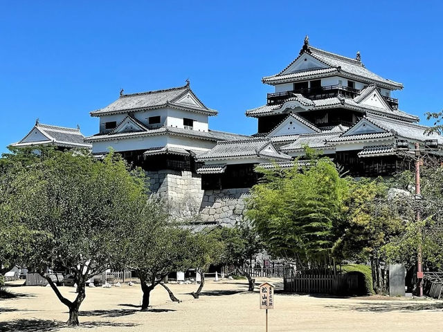 歴史と絶景を楽しむ松山城の魅力