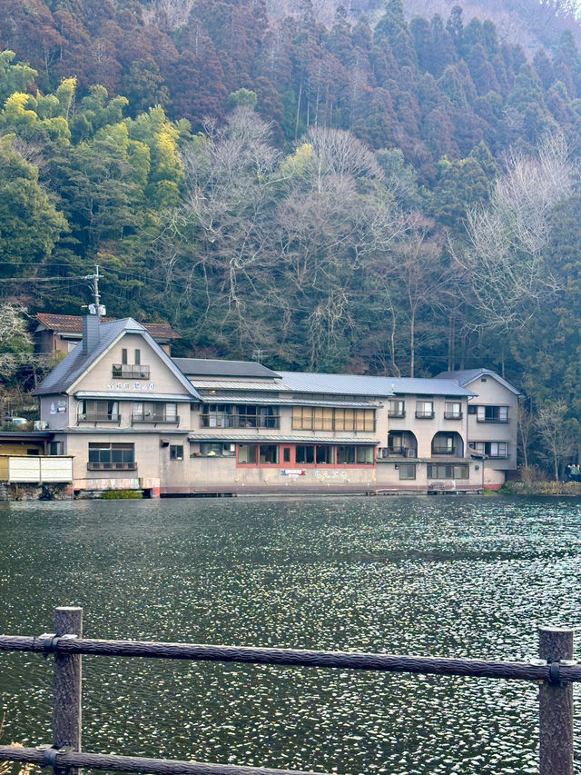 유후인 경이로운 경치를 자아내는 호수 ⛲️