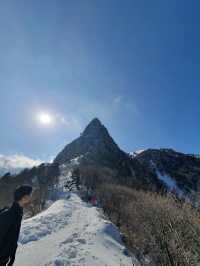 || 한라산 || 남한에서 가장 높은 곳에서 설경을 즐기세요 ❄️🗻