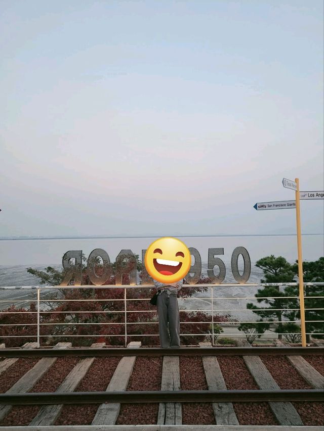 당진 초대형카페 로드 1950