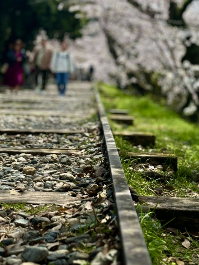 京都蹴上鐵道的浪漫邂逅💕🌸