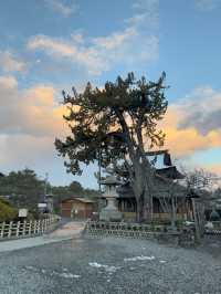 Spiritual Tranquility at Zenkoji Temple, Nagano