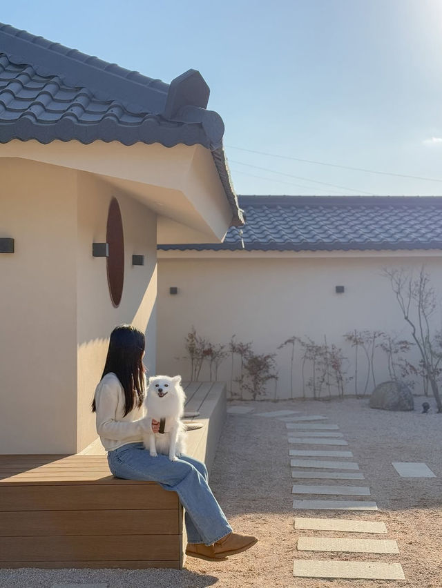 공주에서 만나는 애견동반 신상 숙소, 스테이더담✨🤎 