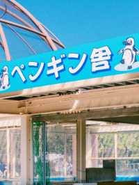 鳥好き必見！久留米市鳥類センター‪🦜‬🪽🫧