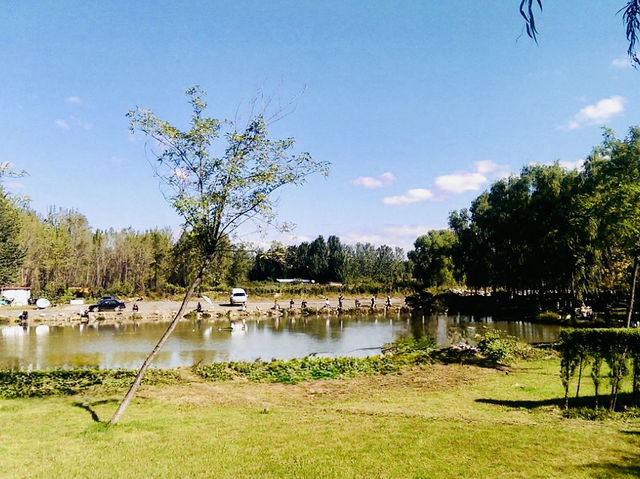 Reflections of Serenity: Longtan Lake Park, Beijing