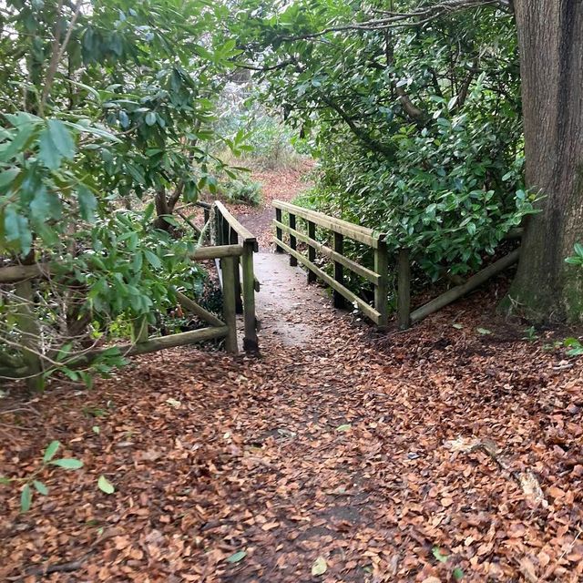 Tollymore Forest Park (Northern Ireland)