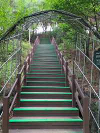 駱山公園的心靈漫步：一段難忘的旅程🌄