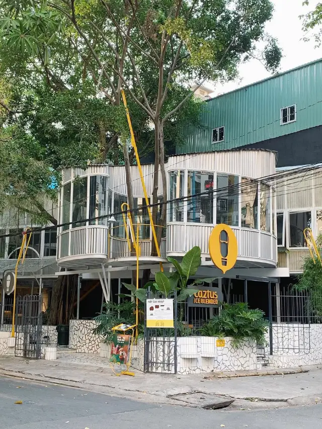 Caztus Vo Oanh