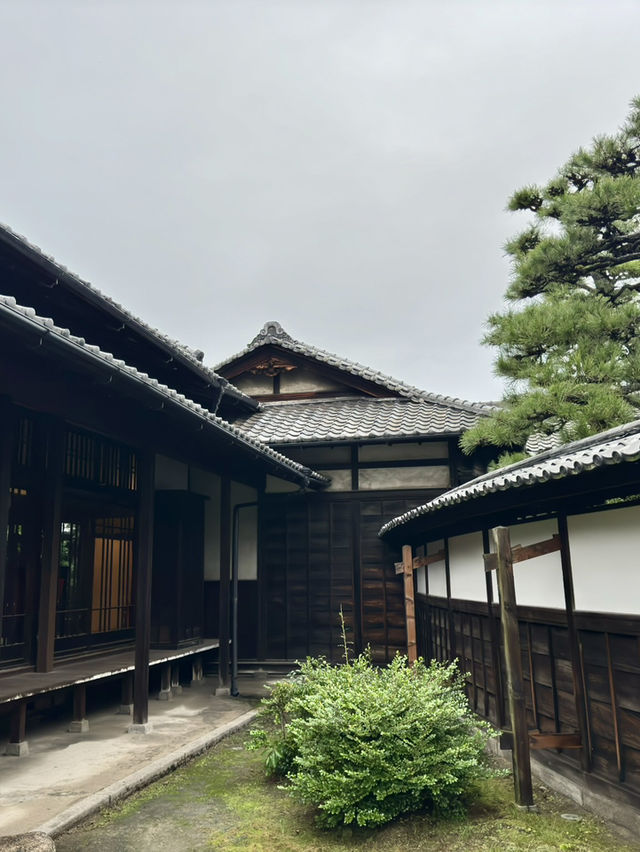일본 소도시의 한적한매력을 느끼는 산책🥰
