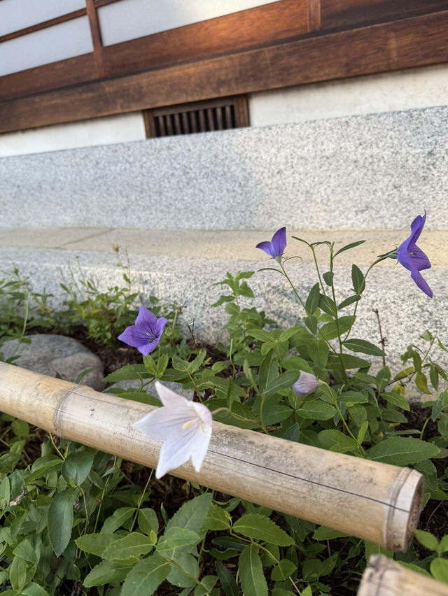 「晴明神社｜陰陽師・安倍晴明を祀る京都のパワースポット」