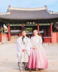 景福宮銀杏季節+黃昏時間=韓劇劇照