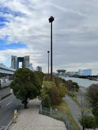 青海綠道公園：未來感與自然的完美交織🌿🚶‍♂️