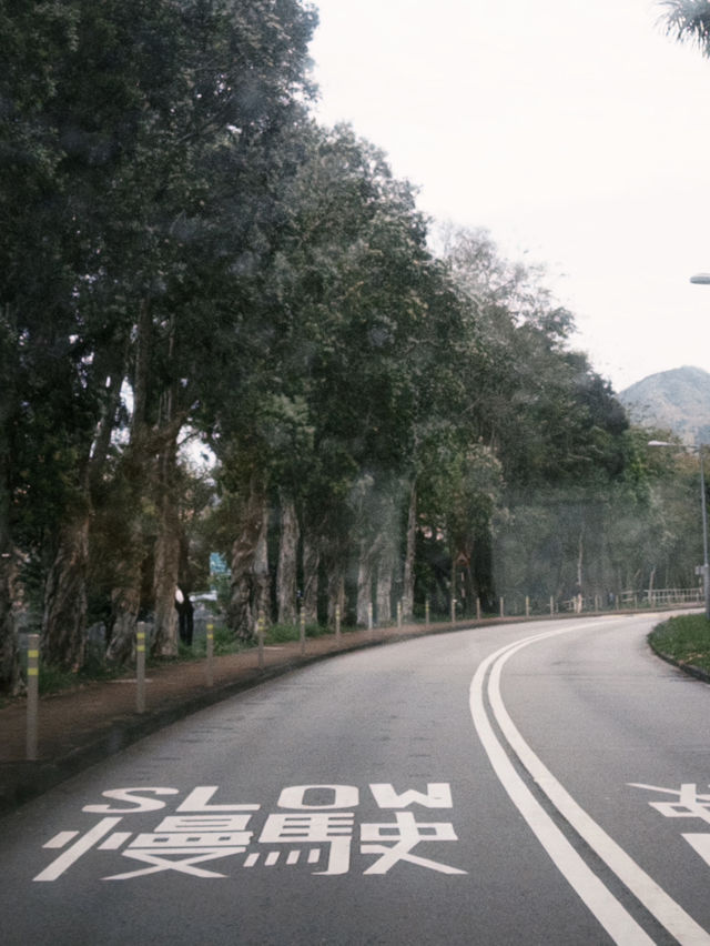 來香港一定要做的是之一 —— 參觀香港裏的大學🏫