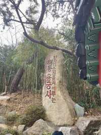부산 기장에서 만난 바다가 보이는 절, 해동 용궁사