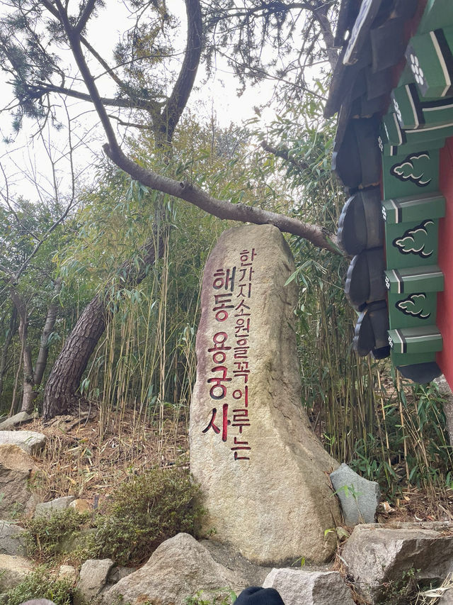 부산 기장에서 만난 바다가 보이는 절, 해동 용궁사