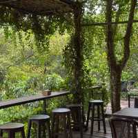 คาเฟ่กลางสวนสุดกรีน บรรยากาศดีสุดฮีลใจ #ระยอง 🍰🌼