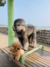 🇭🇰Discover a Different Hong Kong:Sai Kung🎐🌊