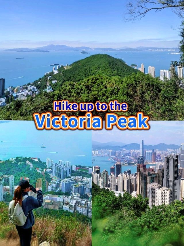 Victoria Peak Hiking, an amazing experience combining nature, history & stunning views! 