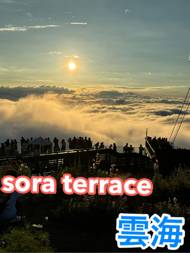 一度は見たい絶景☁️雲海☁️ソラテラス