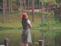 Pang Ung Camp Site - ลานกางเต็นท์ปางอุ๋ง