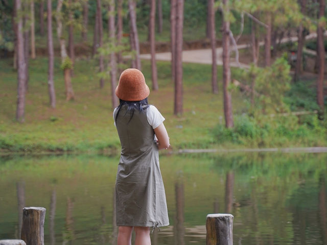 Pang Ung Camp Site - ลานกางเต็นท์ปางอุ๋ง