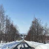 7 Days in Sapporo
