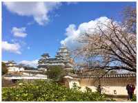 【兵庫/姫路】別名「白鷺城」とも呼ばれる世界遺産＊姫路城＊