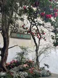 A Floral Spectacle at Lingering Garden: A Jewel of Suzhou's Four Great Gardens