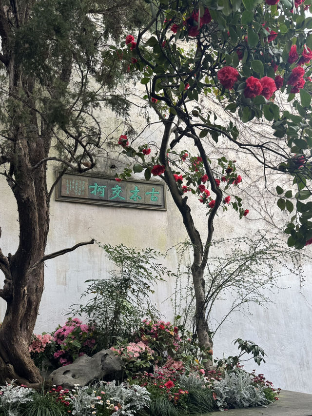 A Floral Spectacle at Lingering Garden: A Jewel of Suzhou's Four Great Gardens
