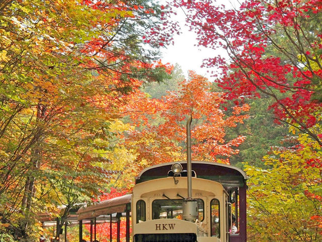Chasing Autumn Foliage at Kiso Valley
