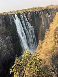 Spring Trip to Victoria Falls🌳