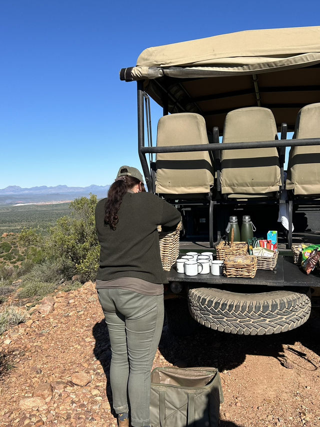 Safari picnic with nature view 