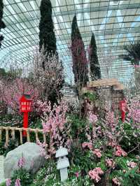 Sakura, Supertrees, and Sundae Bliss! Discovering the Magic of Gardens by the Bay