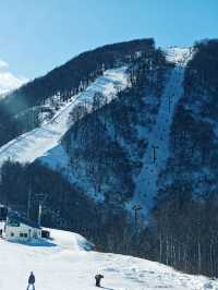 เล่นสกี ที่ Gala Yuzawa 