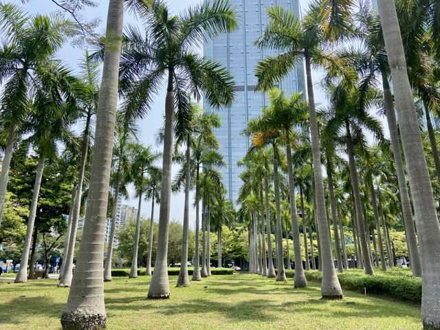 深圳博物館🏛️🌟歷史文化與藝術之旅📜