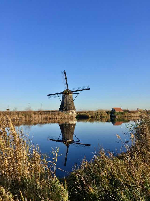 Netherlands Dream🇳🇱